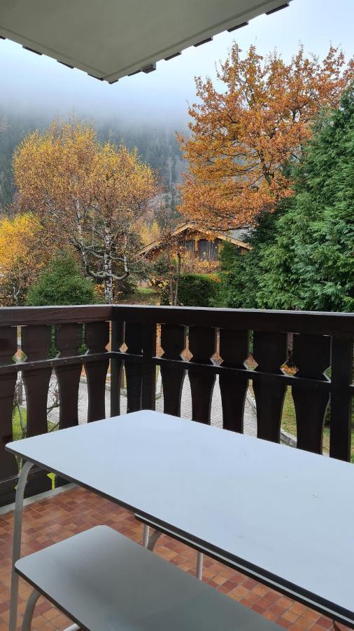 Cosy Studio On The Slopes And Centre Of Chamonix Extérieur photo