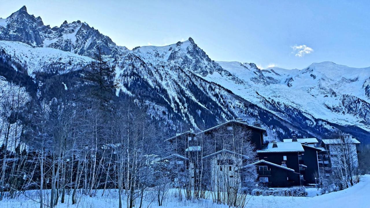 Cosy Studio On The Slopes And Centre Of Chamonix Extérieur photo
